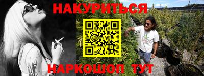 крисы Брянск