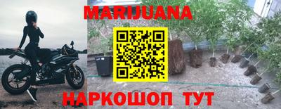 крисы Брянск