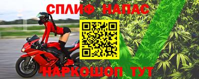 крисы Брянск