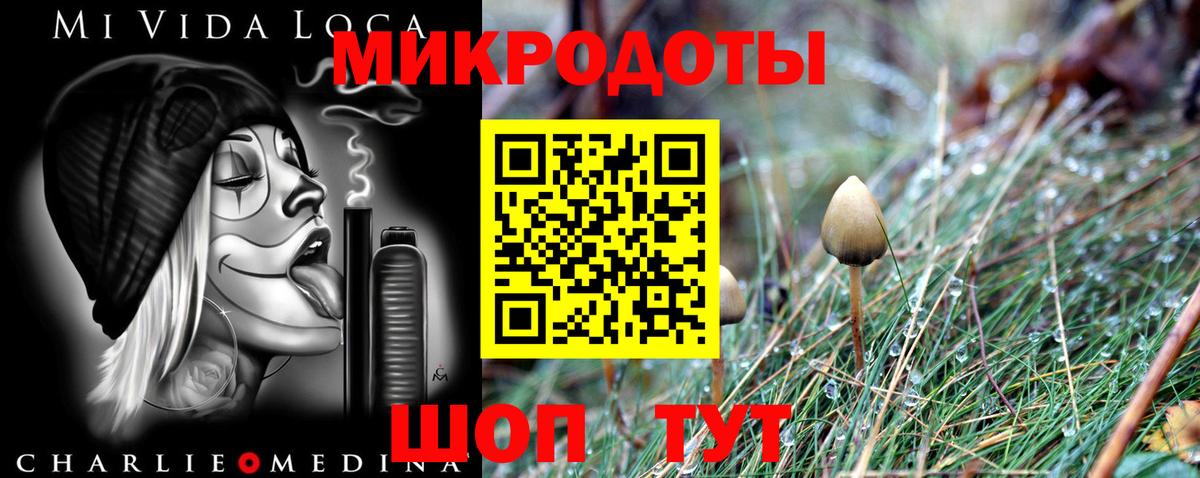 где купить наркотик  Псилоцибиновые грибы мицелий  Вход с VPN  Кировск 